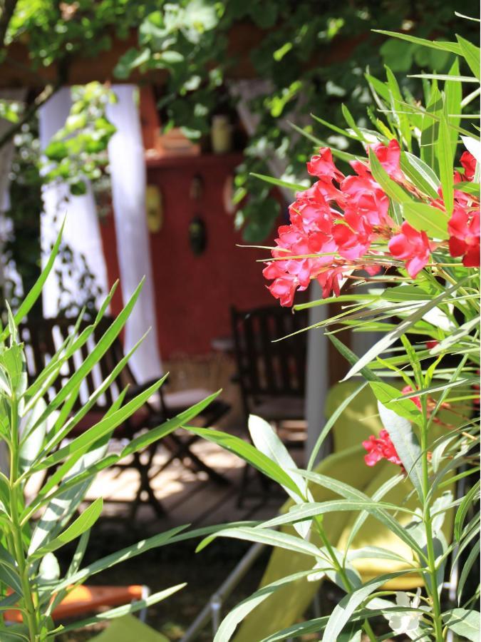 Saint-Paul-lès-Romans Les Pascals B&B 외부 사진